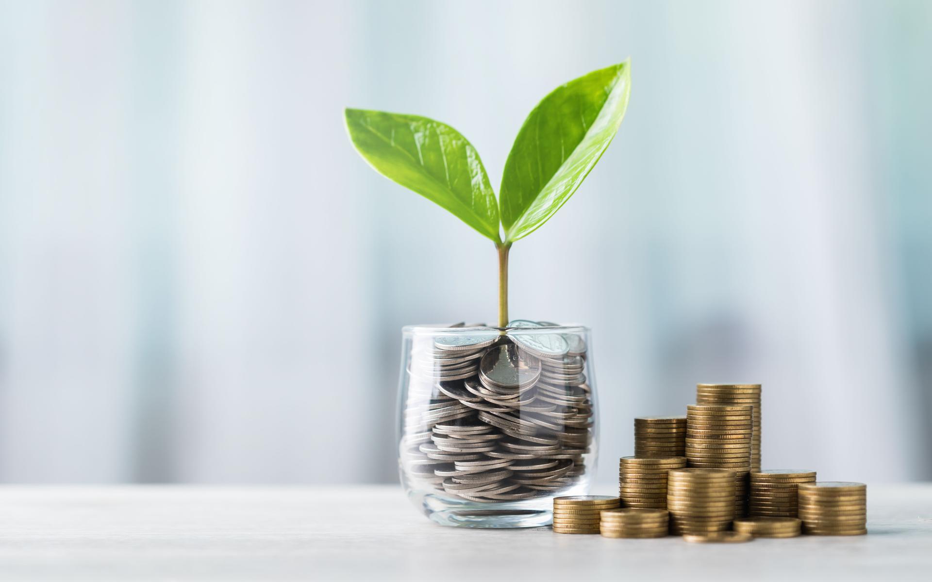 Glass jar filled with coins and a small seedling in the center, with stacks of coins arranged from smallest to largest on a table. Highlights the concept of saving and financial growth