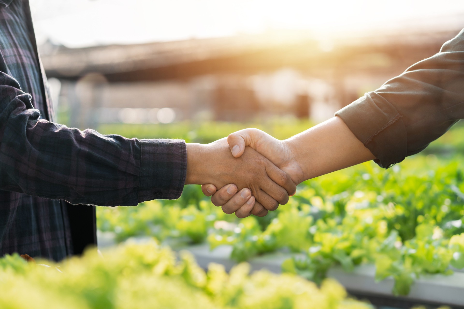 Two farmers hold hands and make an agreement on a contract for farming. Agribusiness concept. Lease agreement, agreement, cooperation.